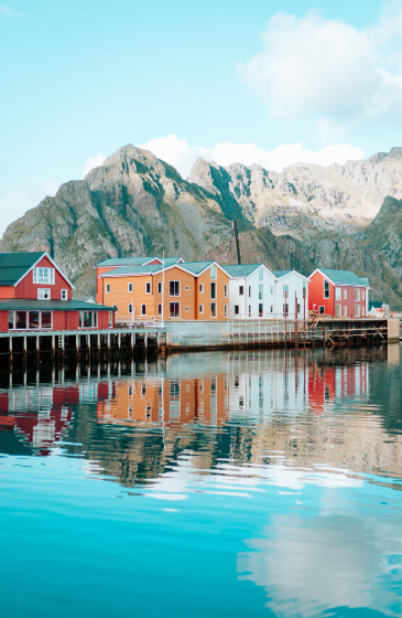 About local digital marketing company